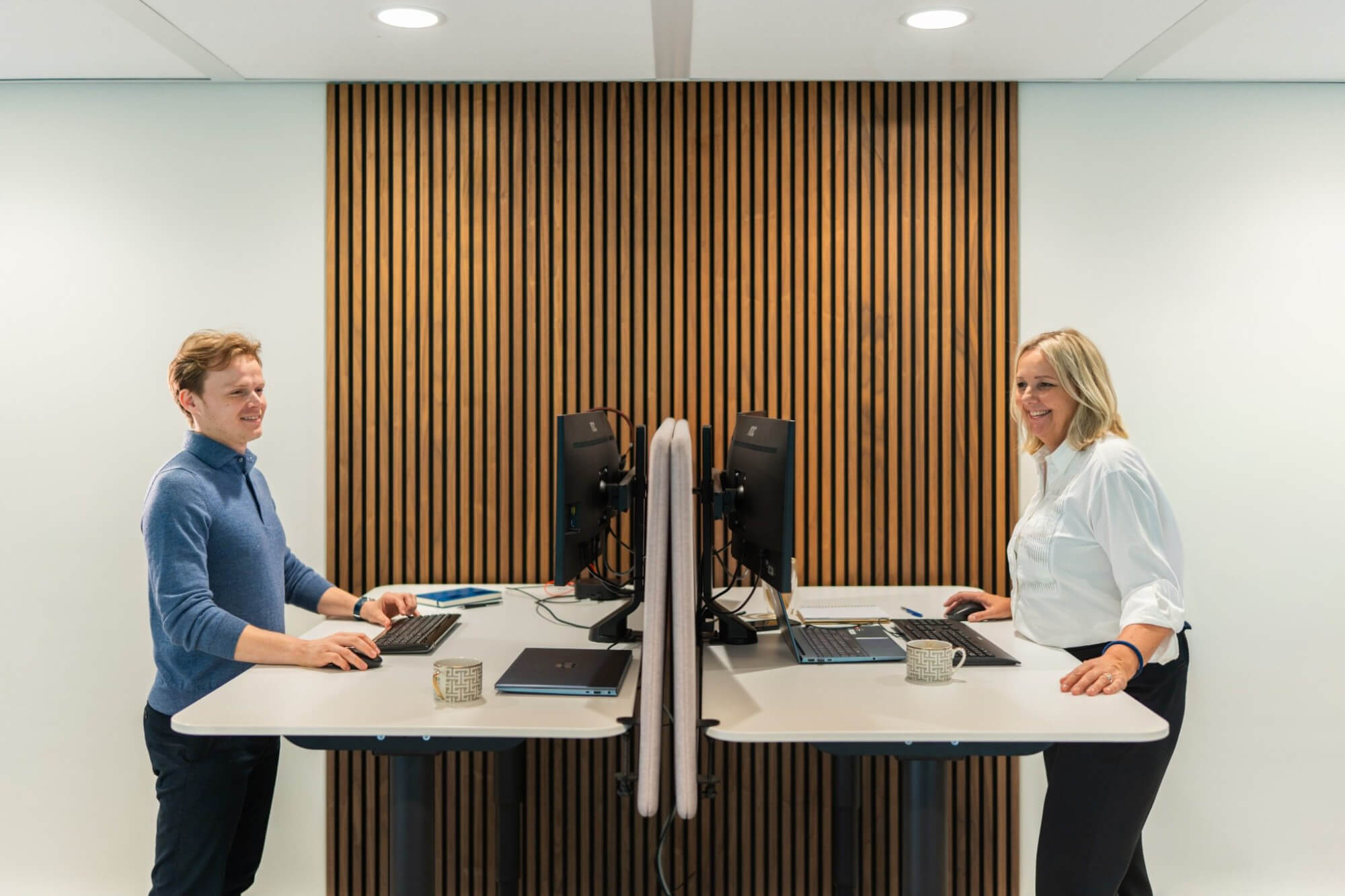 11 header   interim professionals